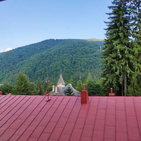 Appartement Cozy Loft At Teleferic à Sinaia Extérieur photo