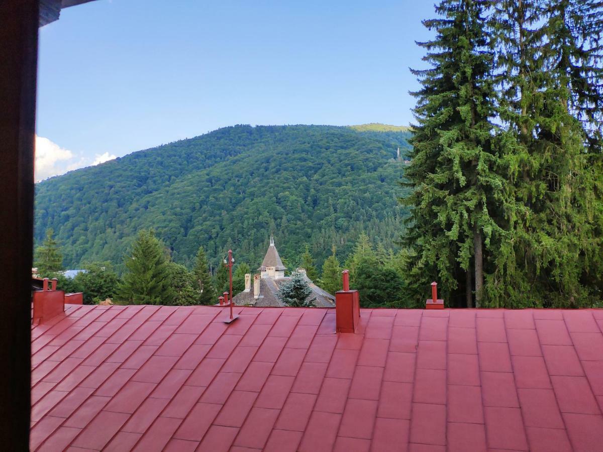 Appartement Cozy Loft At Teleferic à Sinaia Extérieur photo